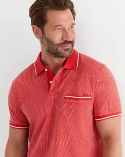 New Sportscraft Derry Polo in Orange