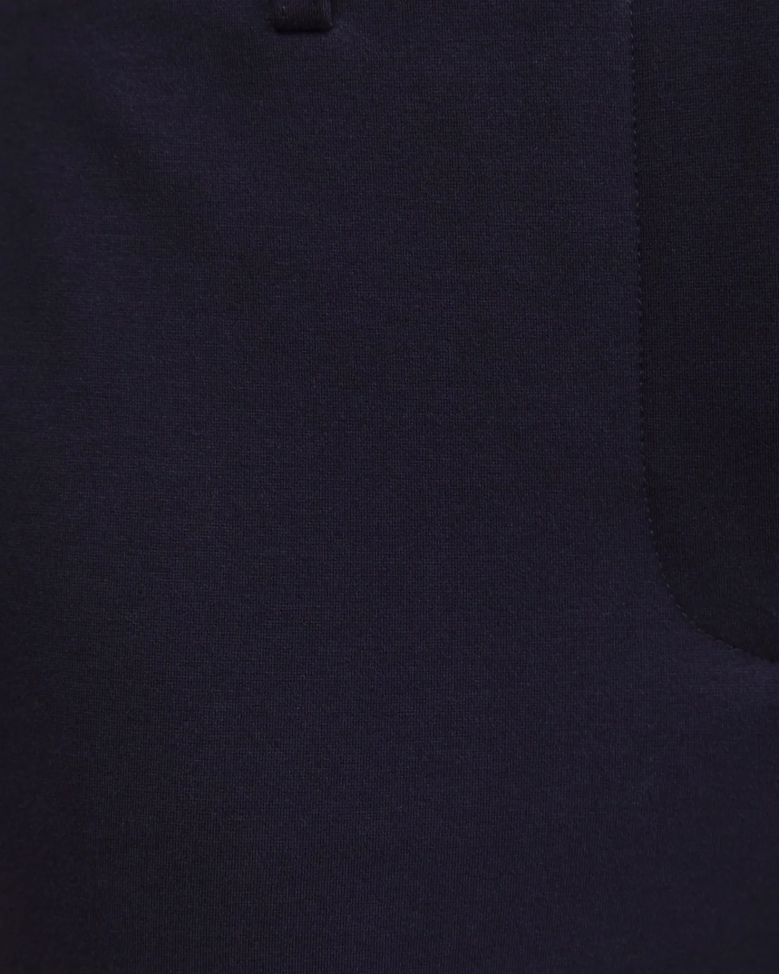 Fashion Sportscraft Evie Ponte Pant in Navy