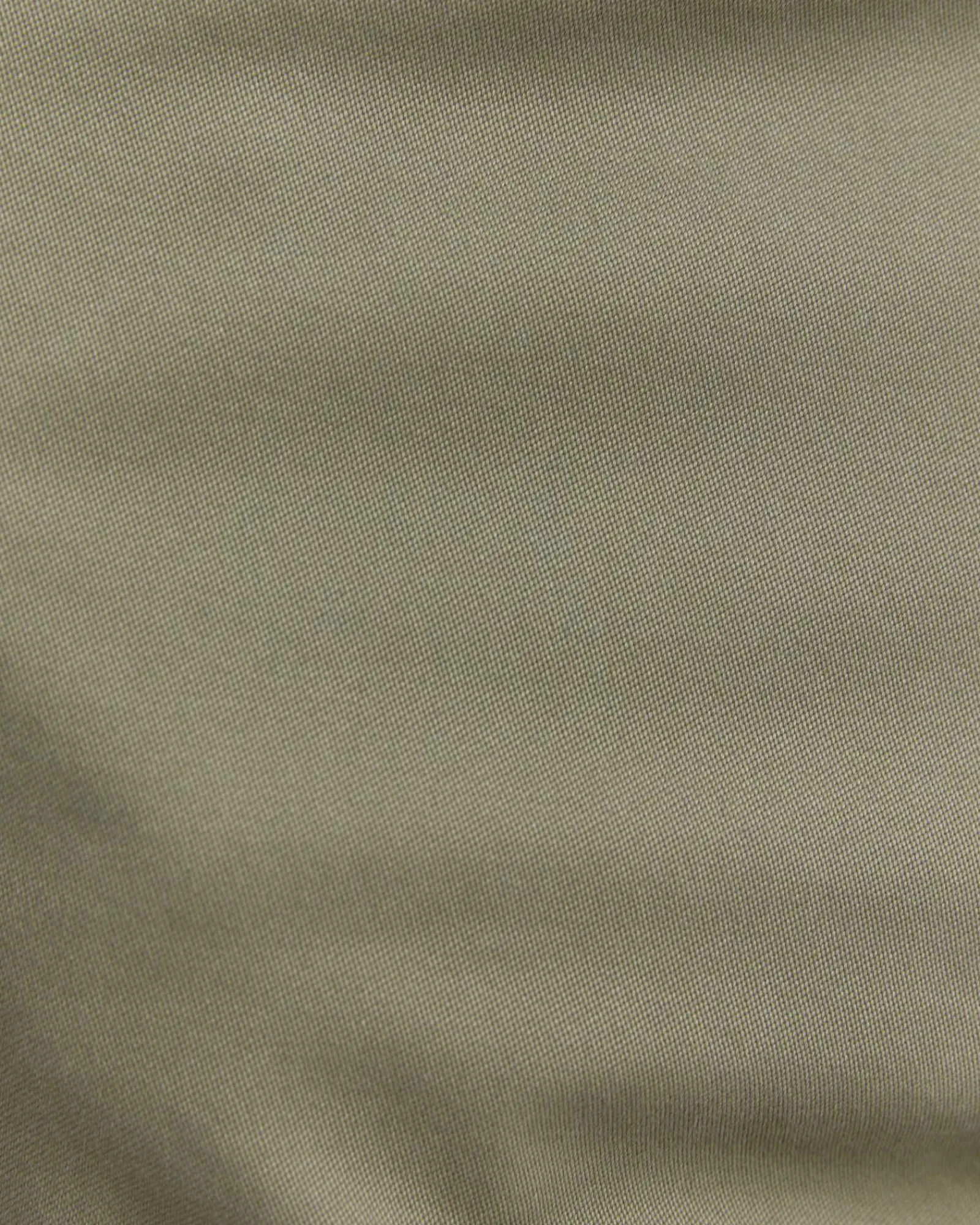 Best Sportscraft Jones Chino in Olive