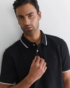 Clearance Sportscraft SC Tipped Pique Polo in Black