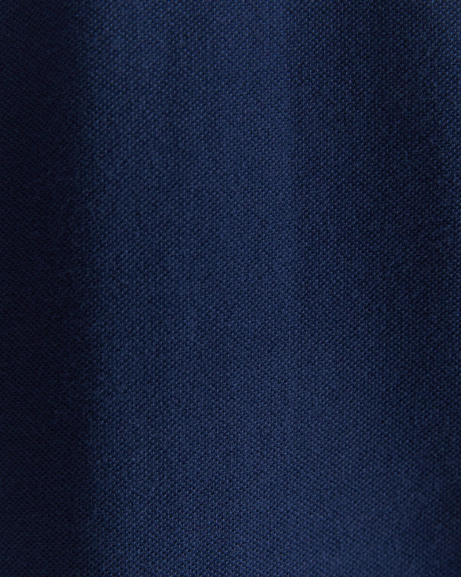 Online Sportscraft SC Tipped Pique Polo in Navy