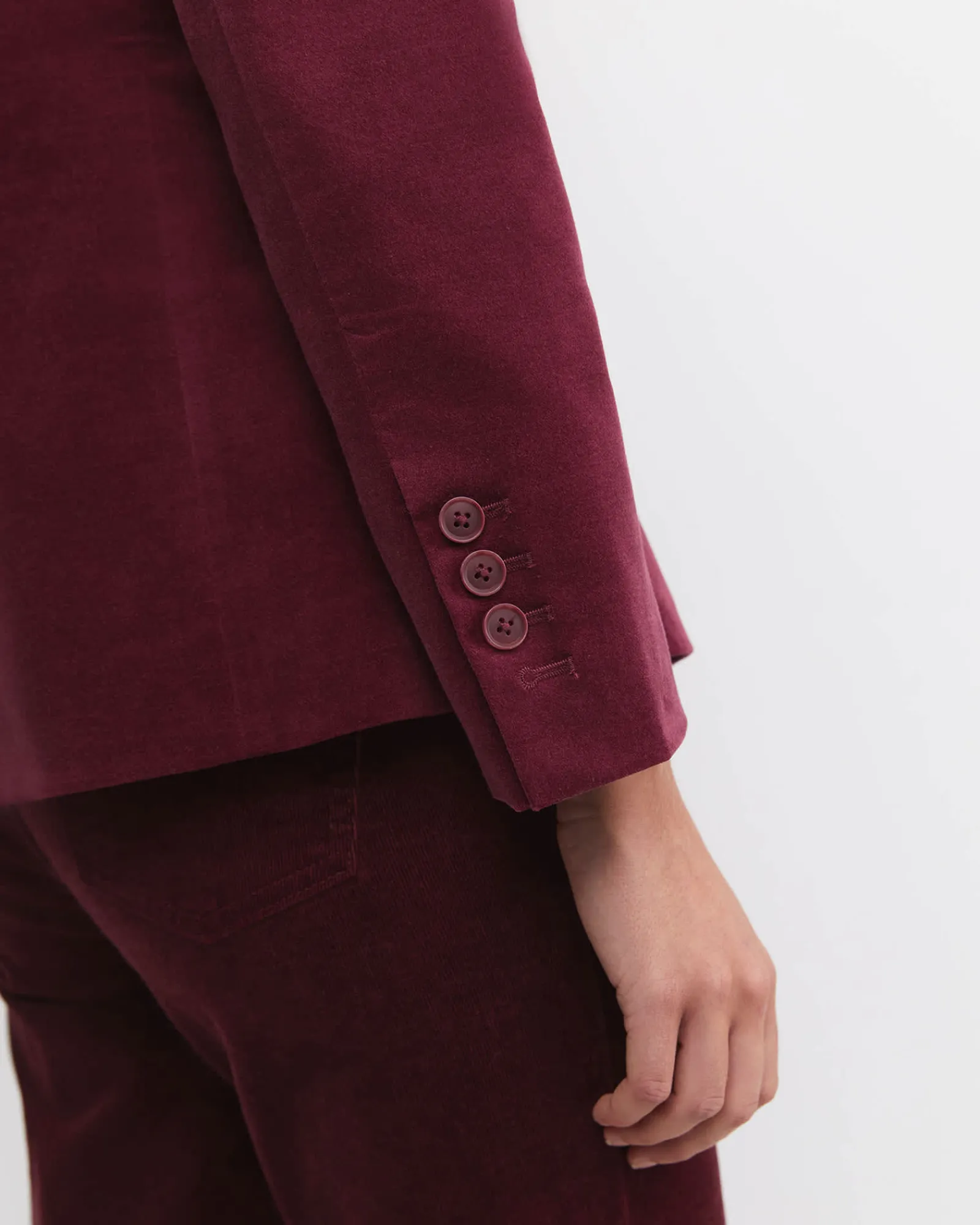 Outlet Sportscraft Valentina Single Breasted Velvet Blazer in Wine