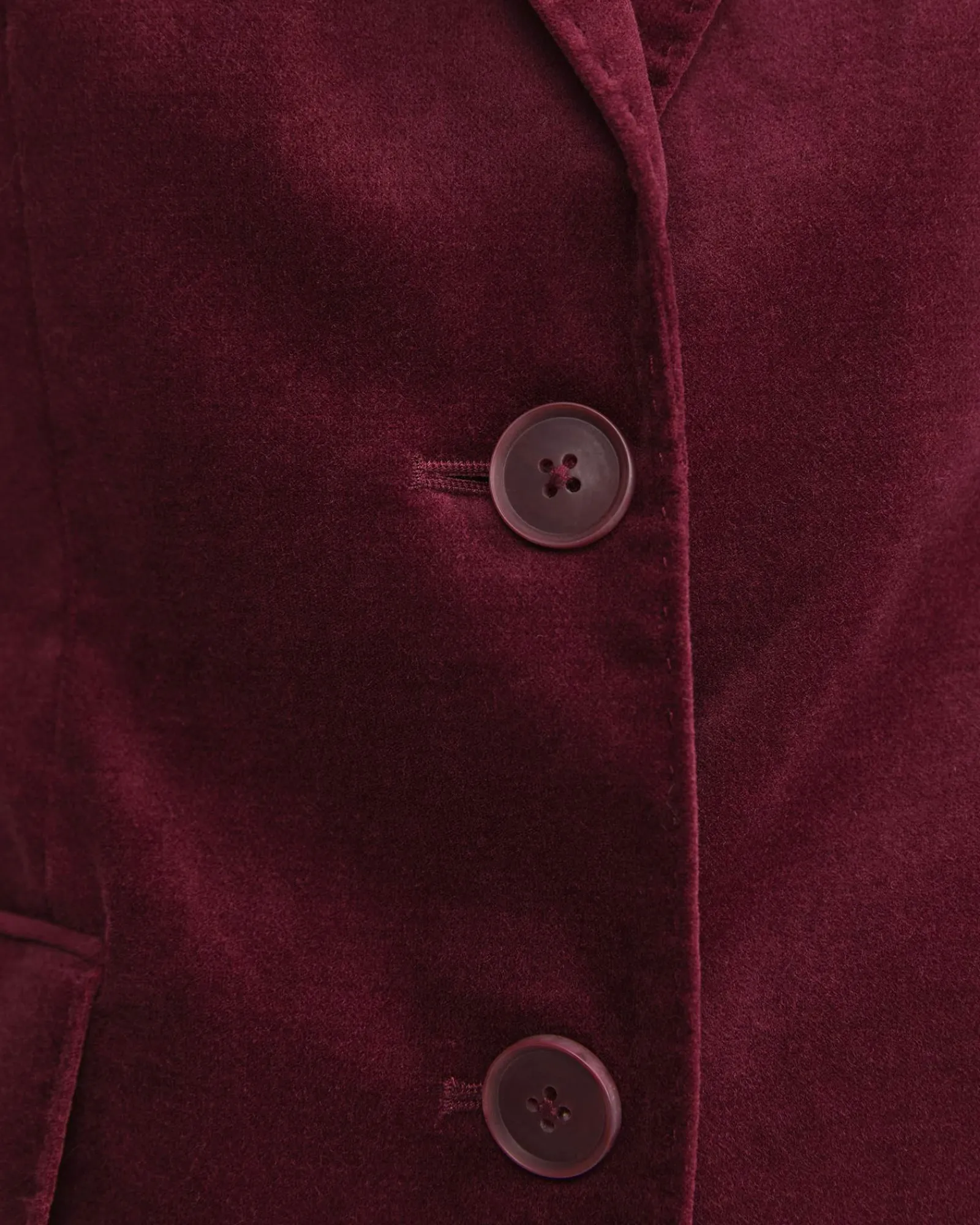 Outlet Sportscraft Valentina Single Breasted Velvet Blazer in Wine